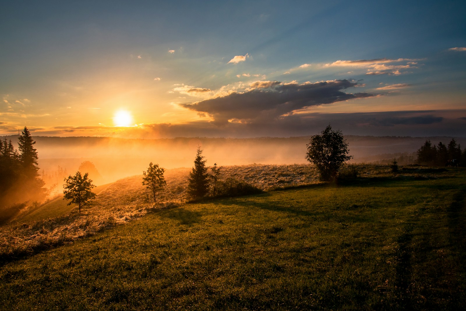 Golden morning light falling across a peaceful landscape