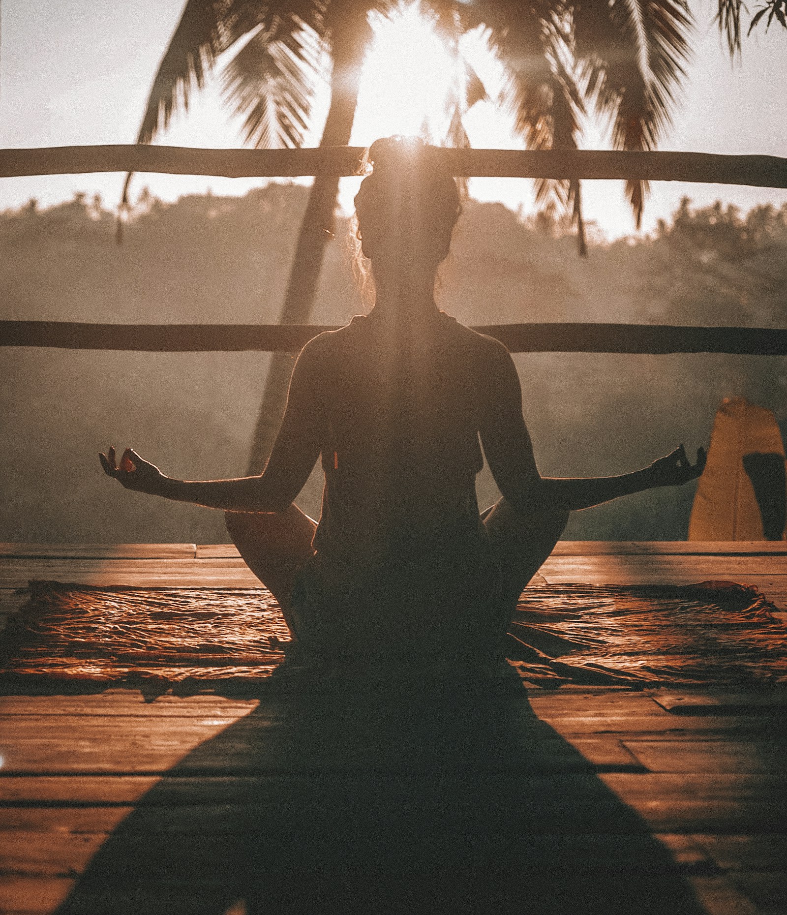 Woman practicing a gentle seated stretch outdoors in soft sunlight