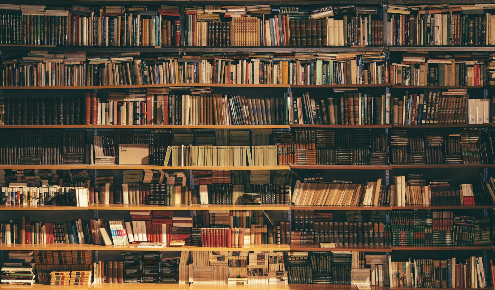Bookshelves filled with books and room for quiet reflection